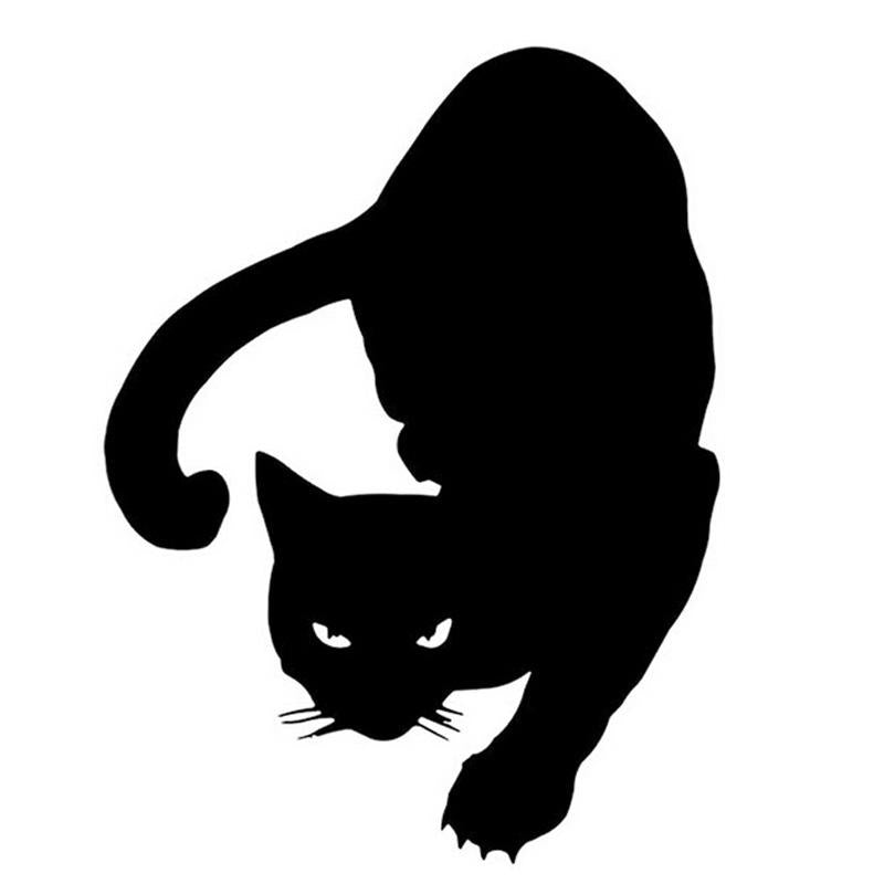 Cat Shadow