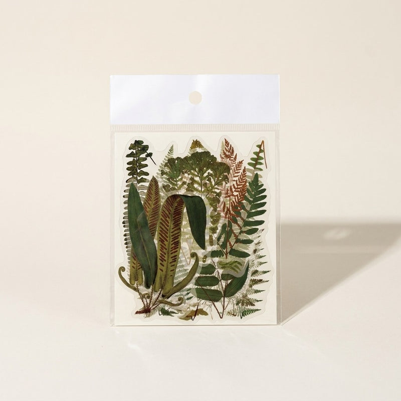 Fern Club