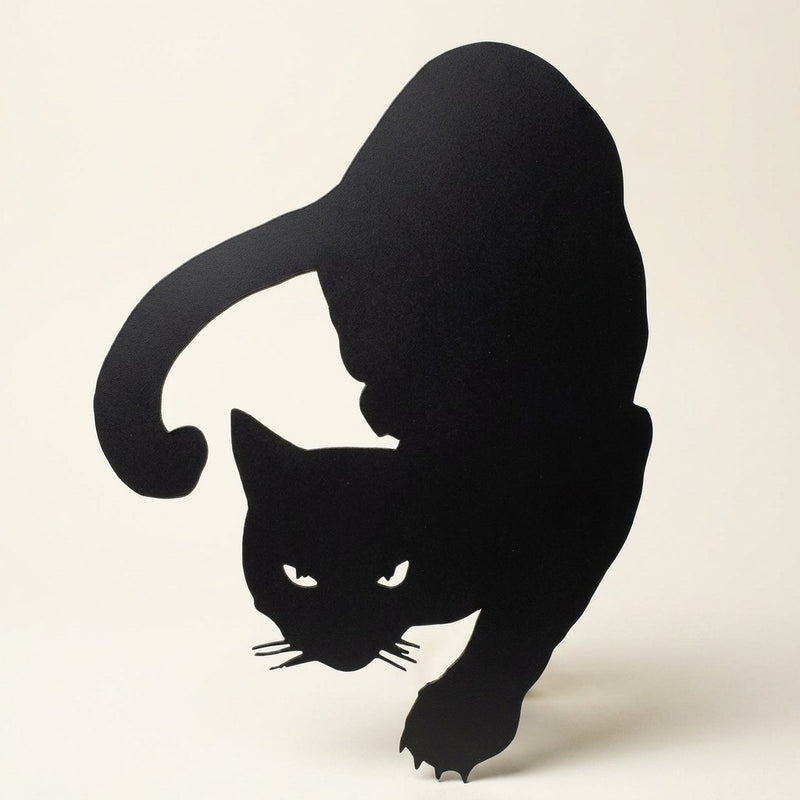 Cat Shadow